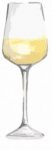 les-cepages-verre-vin-blanc